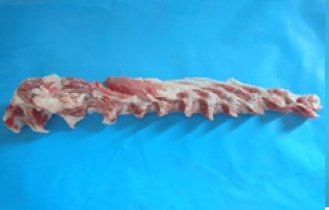 Schweine Knorpelleiste